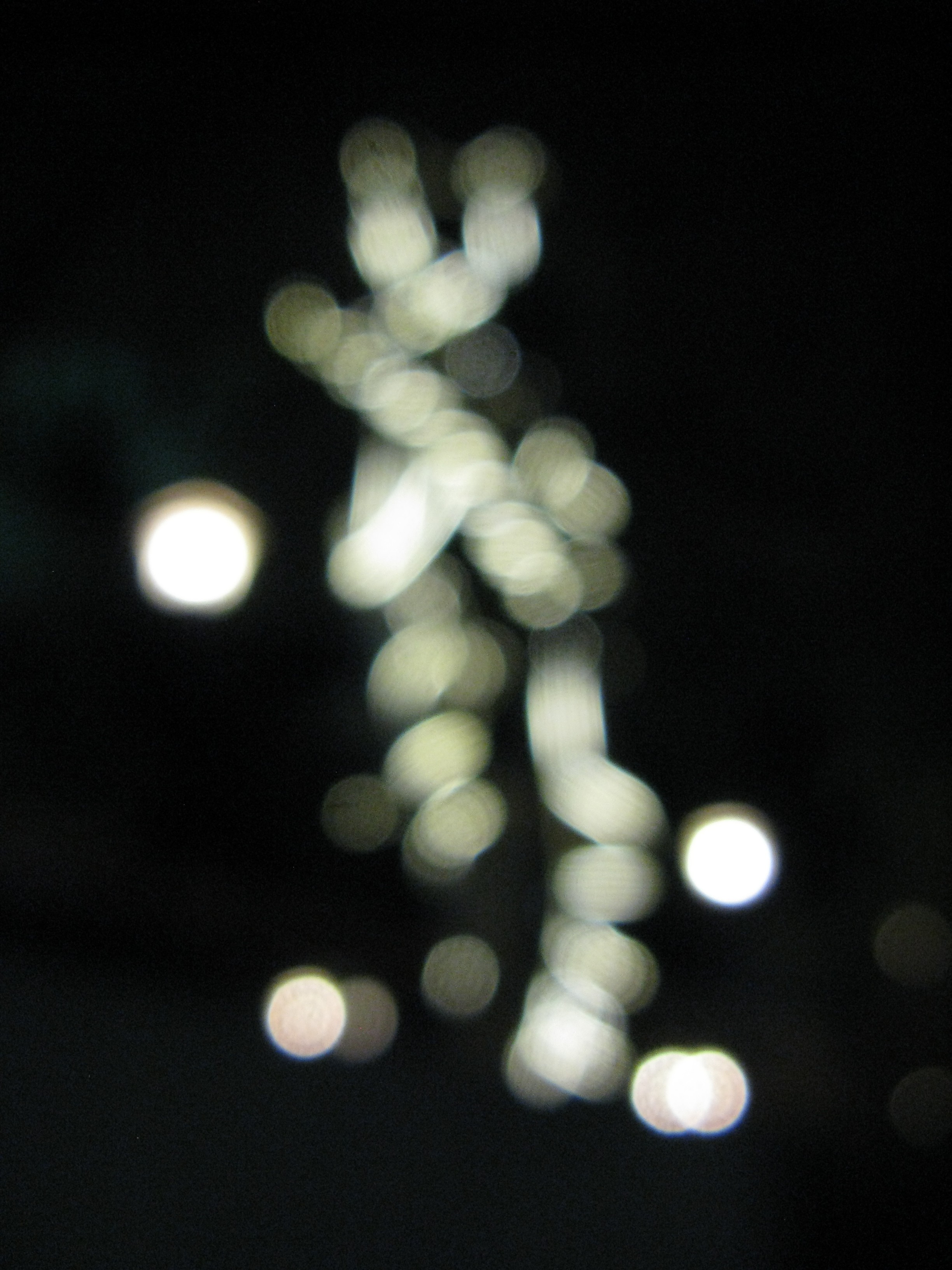 Ornamental_Lights_--_Luder_Artinian